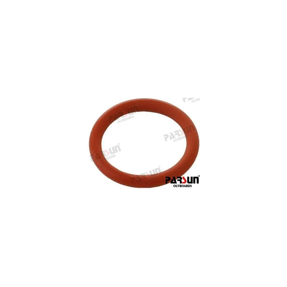 O-RING