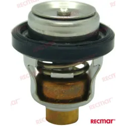 TERMOSTAT 60