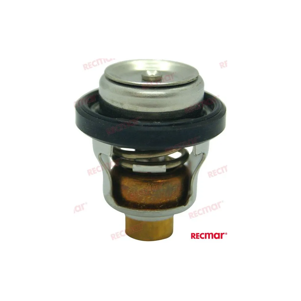 TERMOSTAT 60