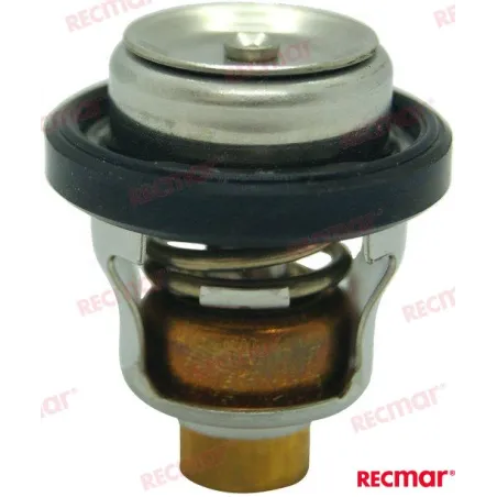 TERMOSTAT 60
