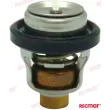 TERMOSTAT 60