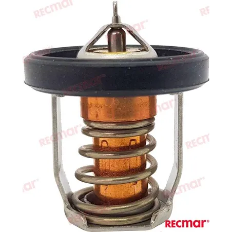 TERMOSTAT SUZUKI