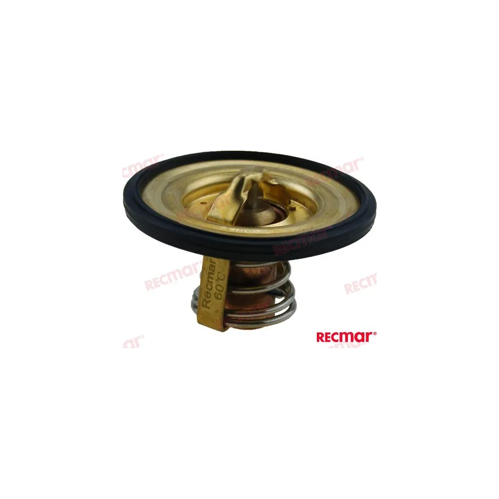 TERMOSTAT 60