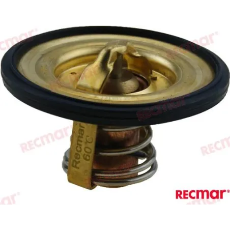 TERMOSTAT 60