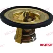 TERMOSTAT 60