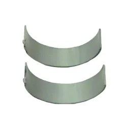 PANEWKI