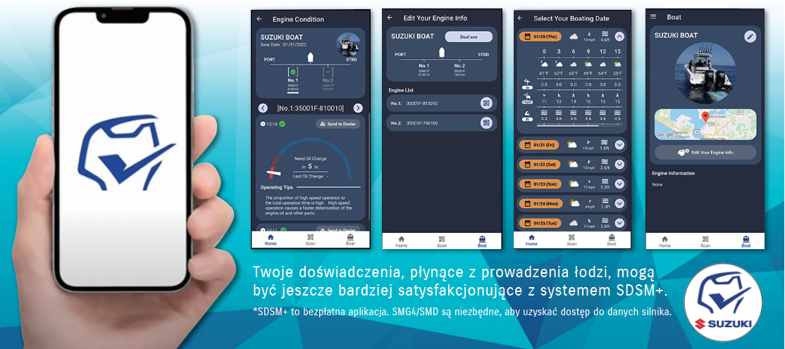 31c04f_SDSM-grafika.jpg
