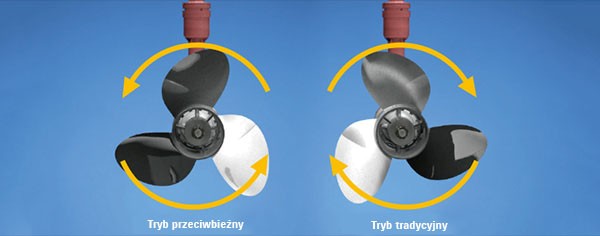 4906ab_Selective-Rotation.jpg